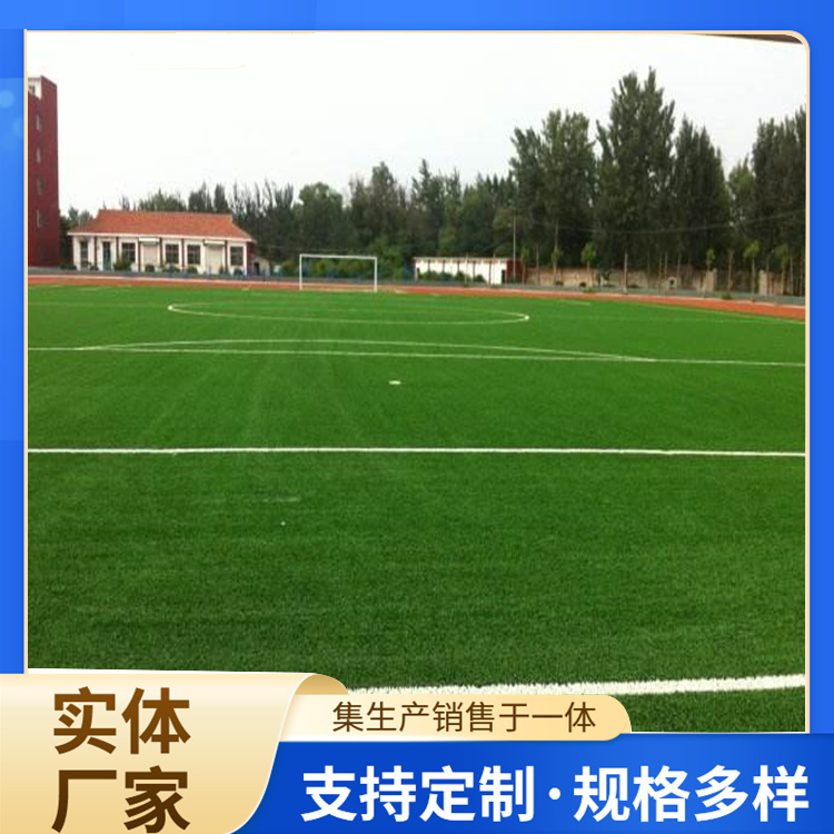 常州市塑胶跑道人造草坪 - 一站式服务